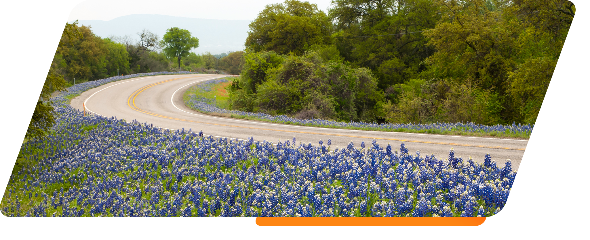 TheViews-header Nexstream Hill Country Internet